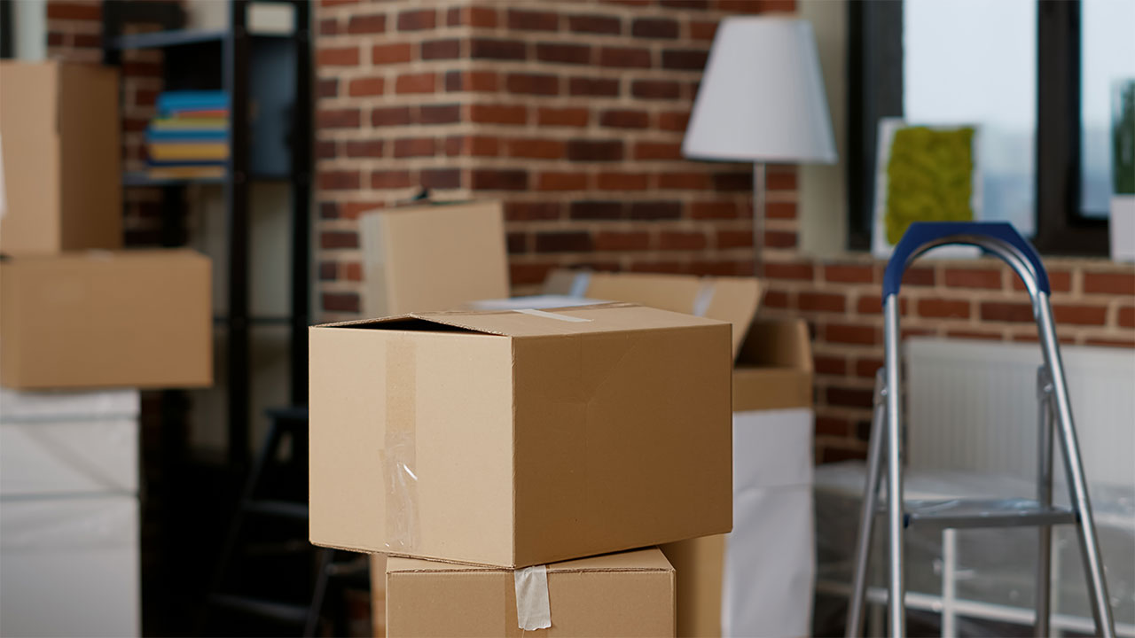 Decorative Storage Boxes