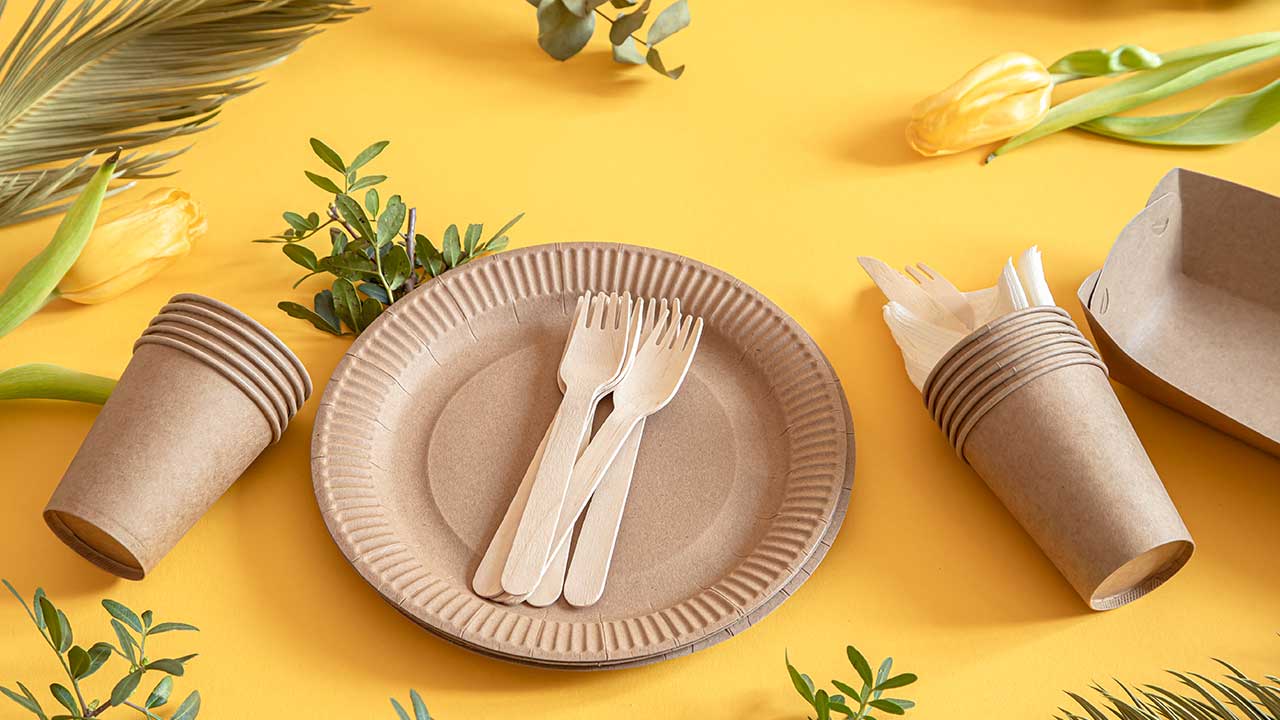Paper Plates, Cups, and Napkins