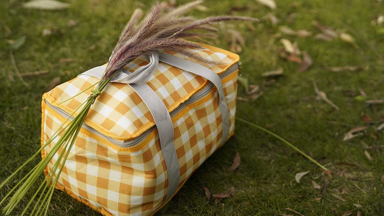 Insulated Cooler Bags & Ice Packs